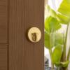 imageKwikset Uptown Deadbolt Lock Satin Brass Round Exterior Keyed Front Entry Door Pick Resistant SmartKey Rekey Security Single Cylinder Dead Bolt with Microban ProtectionSatin Brass